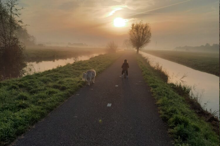 Focus op het positieve